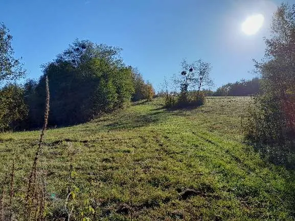Prairie marneuse fauchée tardivement