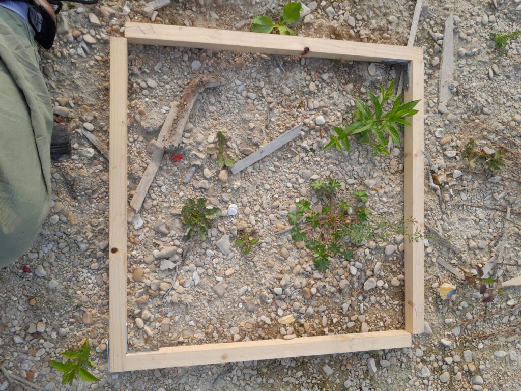 Placette projet VEGET