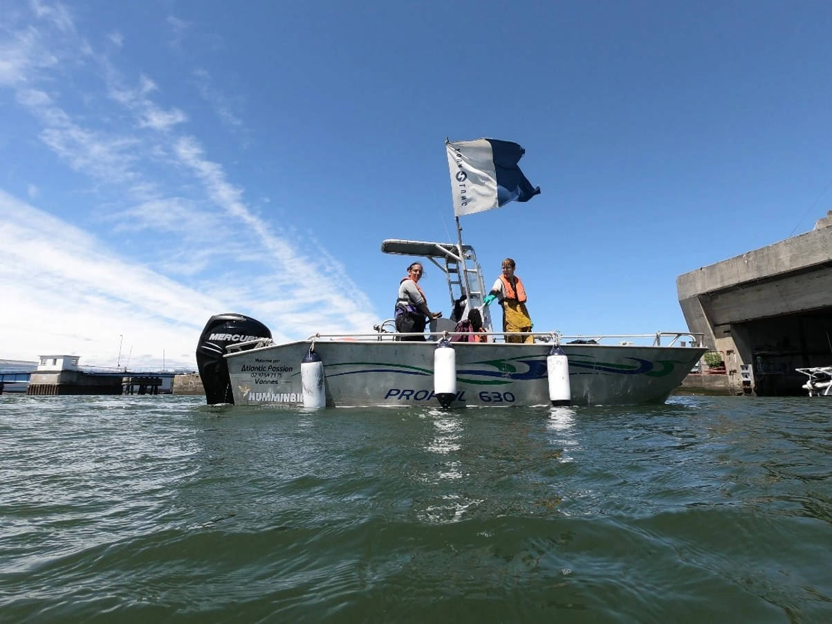 Expertise du milieu marin TBM SOMME Écosphère