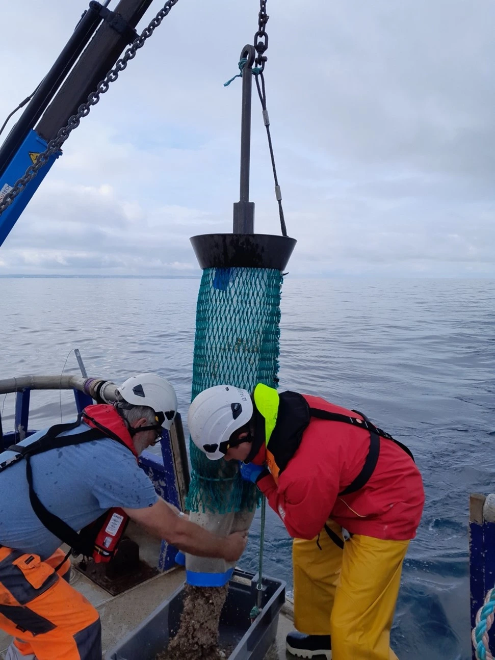 Expertise du milieu marin TBM SOMME Écosphère