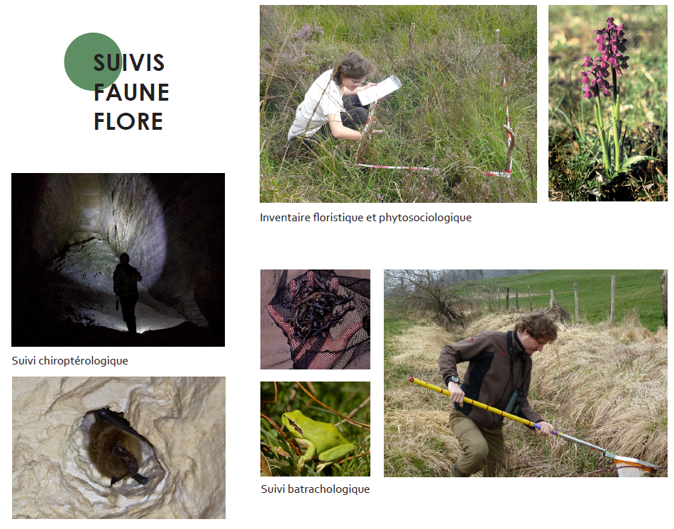 Suivis, évaluations et audits, l'exemple des suivis faune et flore au travers d'inventaires floristiques et phytosociologiques, de suivis chiroptérologiques et de suivis batrachologiques