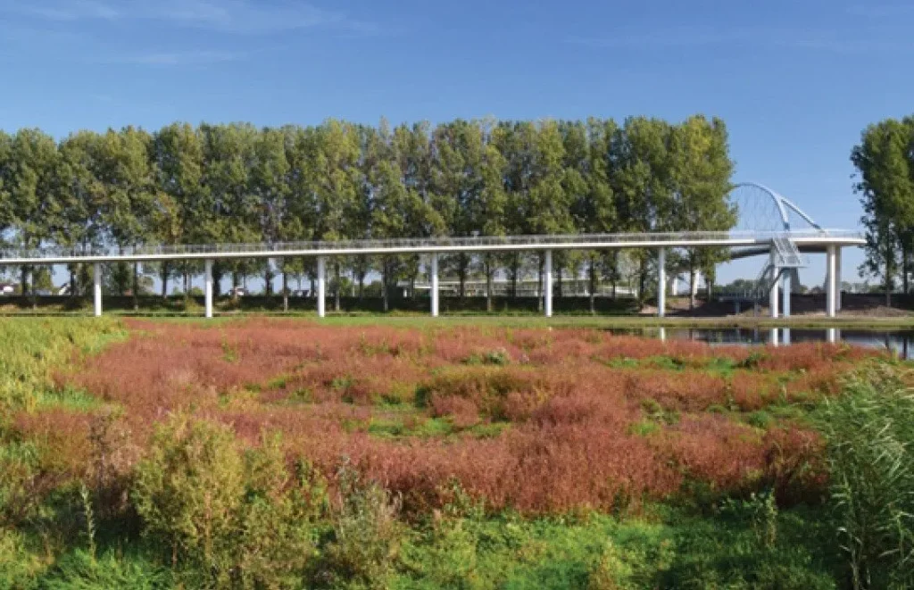 Près de Nigtevecht, un pont cyclable allie architecture et nature, reliant les marais et préservant le paysage - Nature Inclusive Design