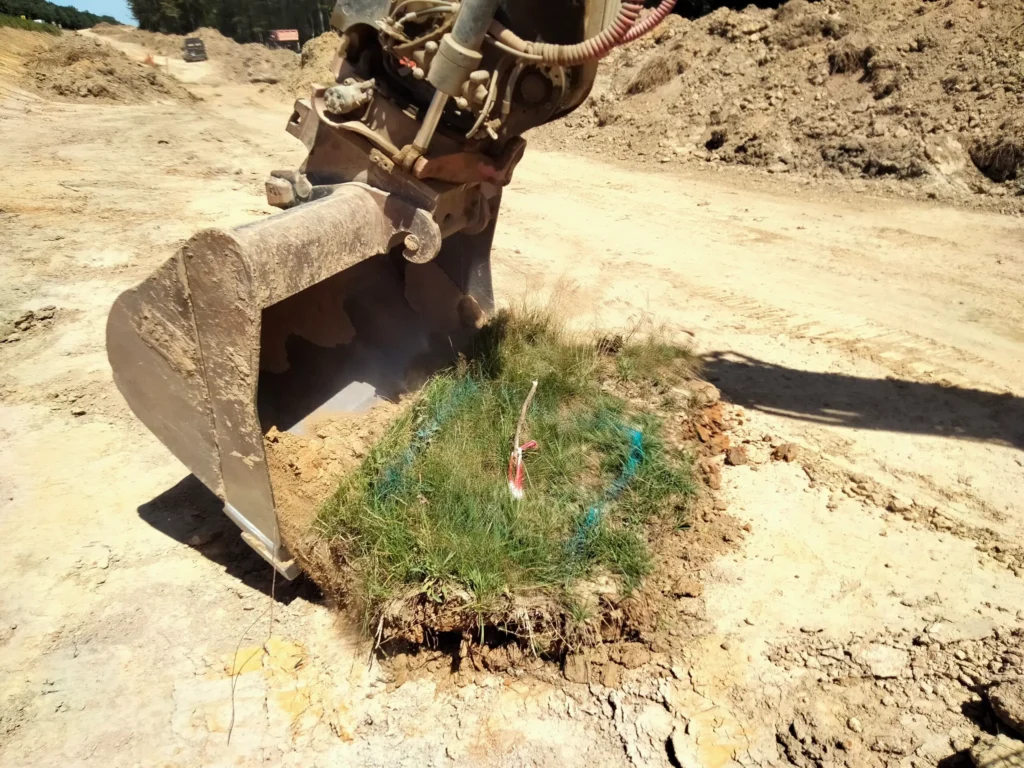 Déplacement espèces Écosphère