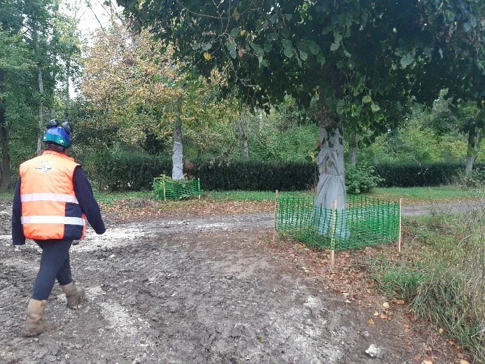Protection d'arbres en phase chantier