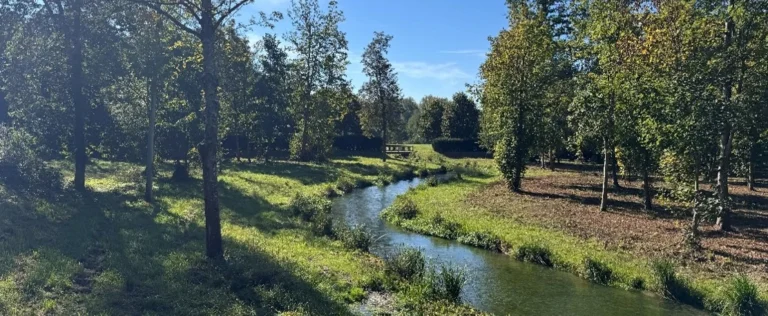 Restauration de la continuité écologique du Lunain au droit du domaine de Nonville (77)
